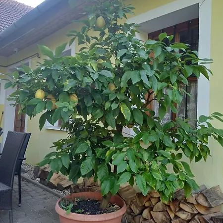 Lägenhet Zanati Apartmannhaz