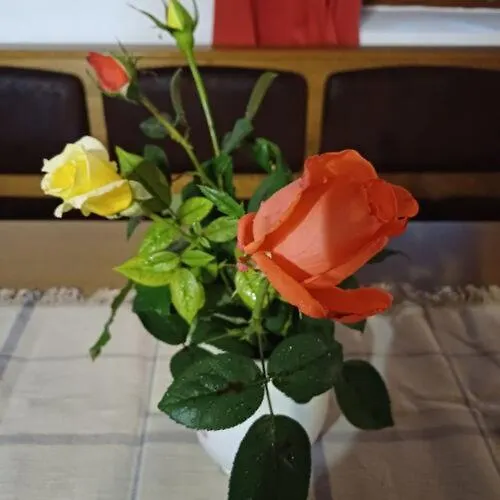 Zanati Apartmannhaz 아파트 *