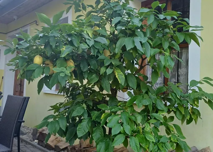 דירה Zanati Apartmannhaz